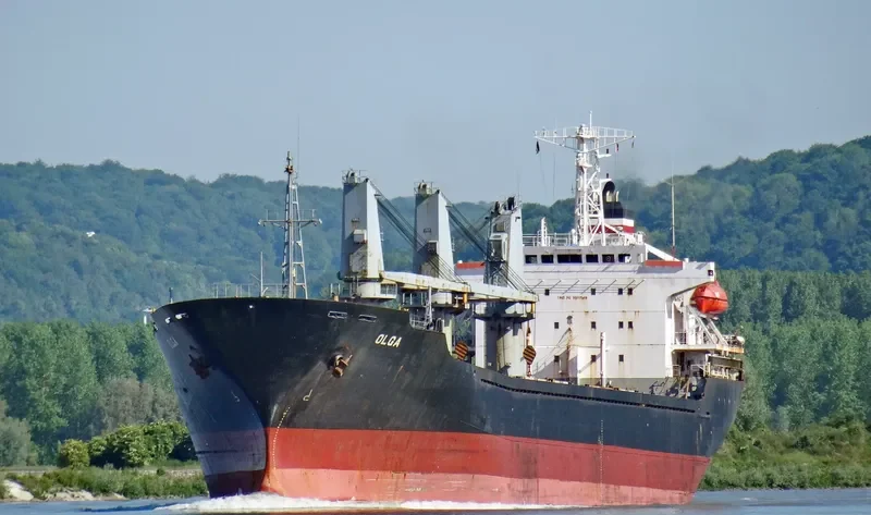 OLGA Bulk Carrier IMO 9109548 photo 3