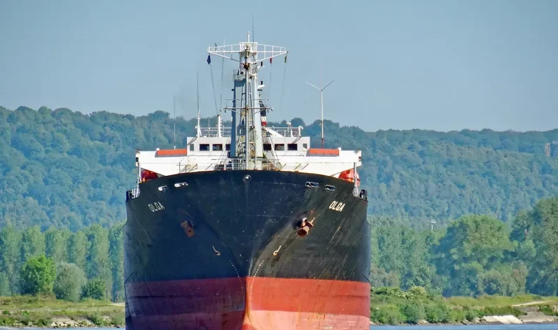 OLGA Bulk Carrier IMO 9109548 photo 4