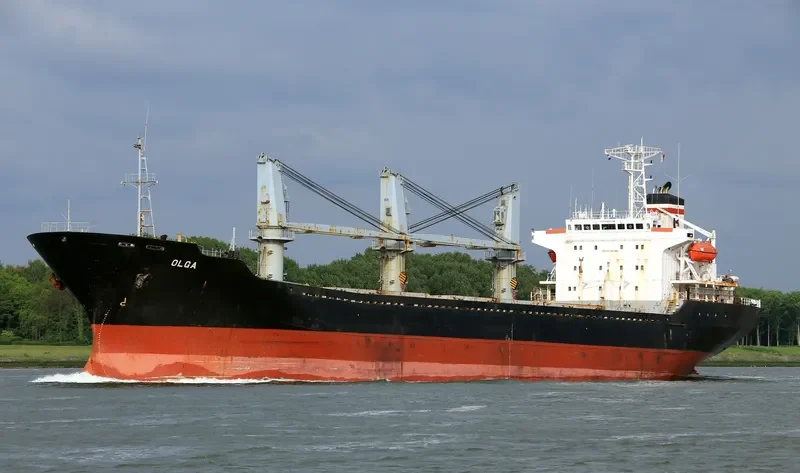 OLGA Bulk Carrier IMO 9109548 photo 5