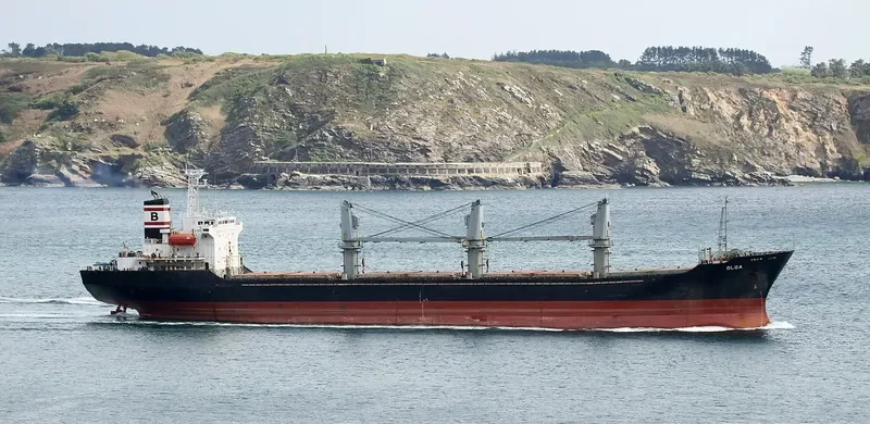 OLGA Bulk Carrier IMO 9109548 photo 7