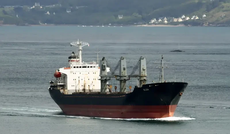 OLGA Bulk Carrier IMO 9109548 photo 8