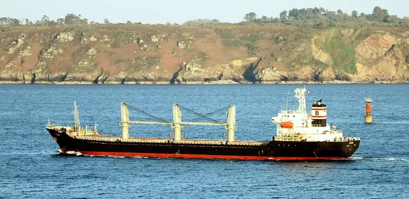 OLGA Bulk Carrier IMO 9109548 photo 9