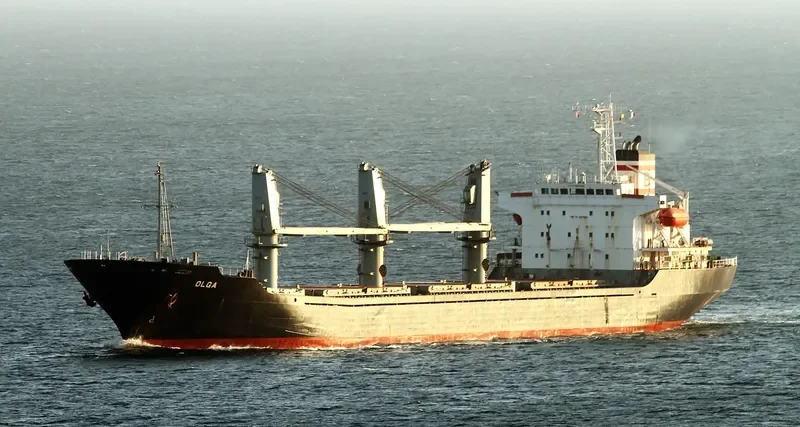 OLGA Bulk Carrier IMO 9109548 photo 10