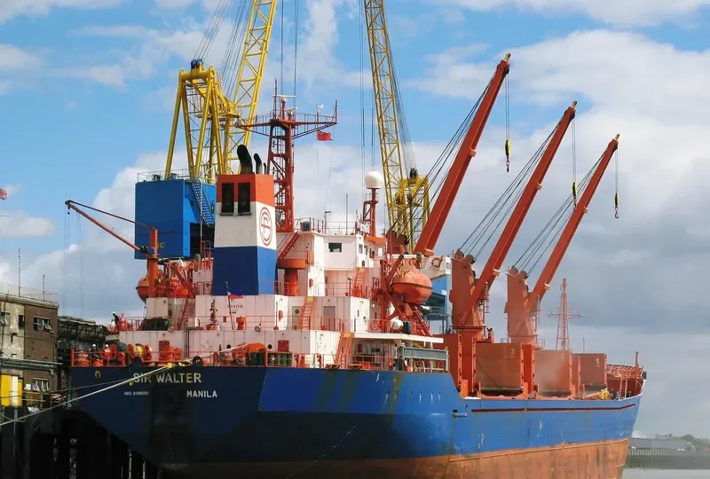 LIGHT MOON Bulk Carrier IMO 9109550
