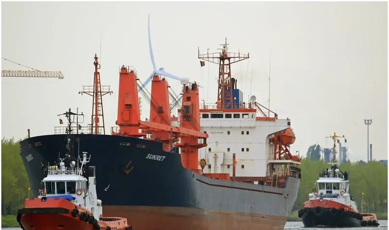 LIGHT MOON Bulk Carrier IMO 9109550 photo 2
