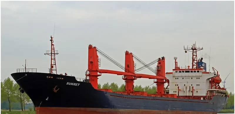LIGHT MOON Bulk Carrier IMO 9109550 photo 3