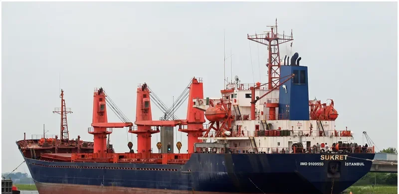 LIGHT MOON Bulk Carrier IMO 9109550 photo 4