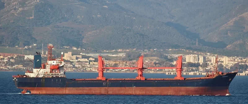 LIGHT MOON Bulk Carrier IMO 9109550 photo 5