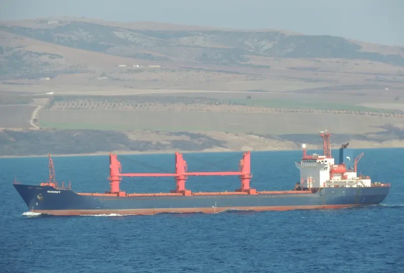 LIGHT MOON Bulk Carrier IMO 9109550 photo 6