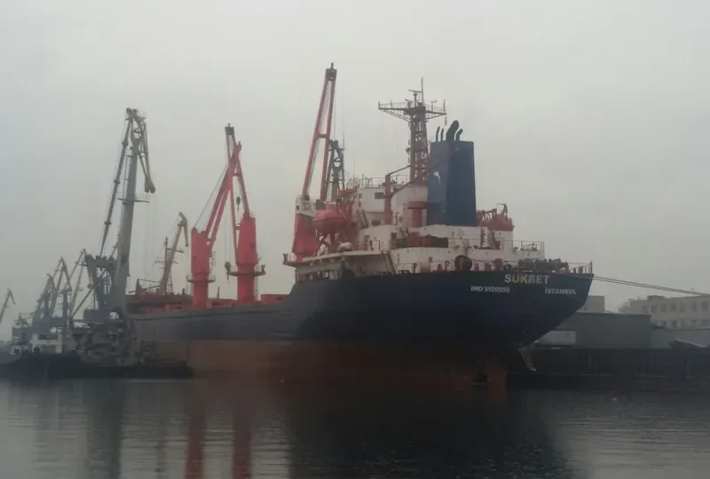 LIGHT MOON Bulk Carrier IMO 9109550 photo 7