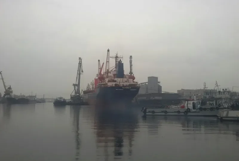LIGHT MOON Bulk Carrier IMO 9109550 photo 8