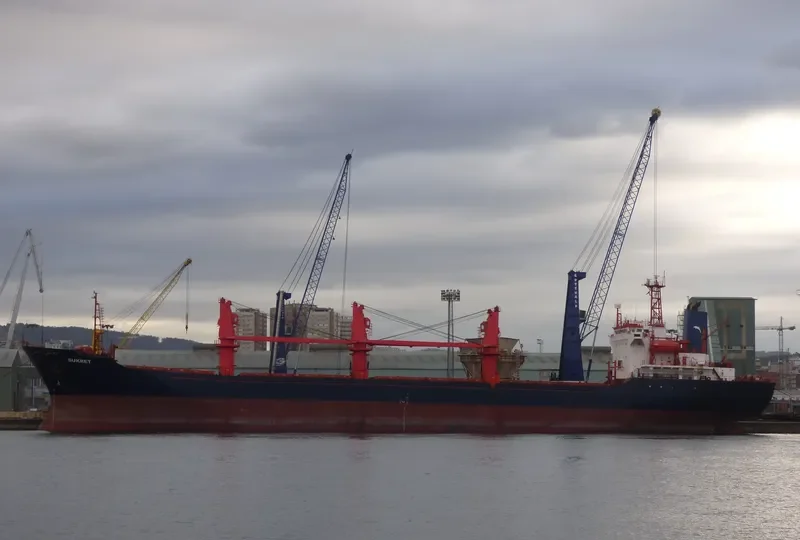 LIGHT MOON Bulk Carrier IMO 9109550 photo 9