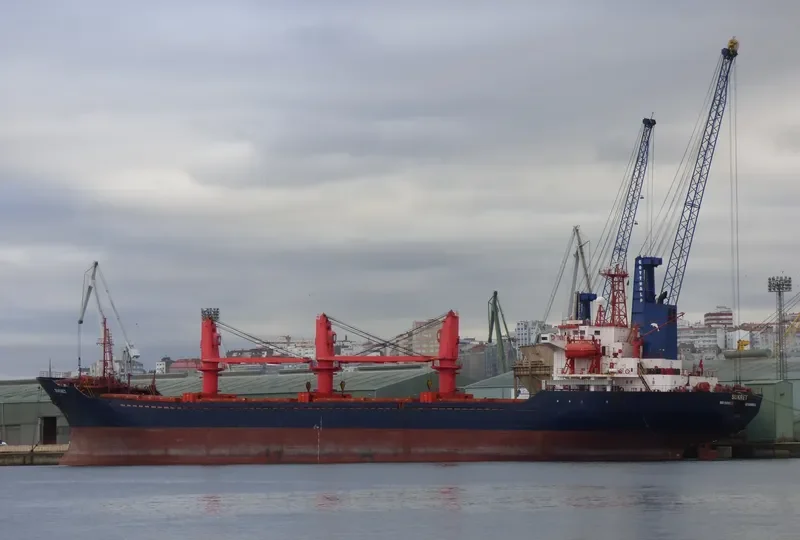 LIGHT MOON Bulk Carrier IMO 9109550 photo 10
