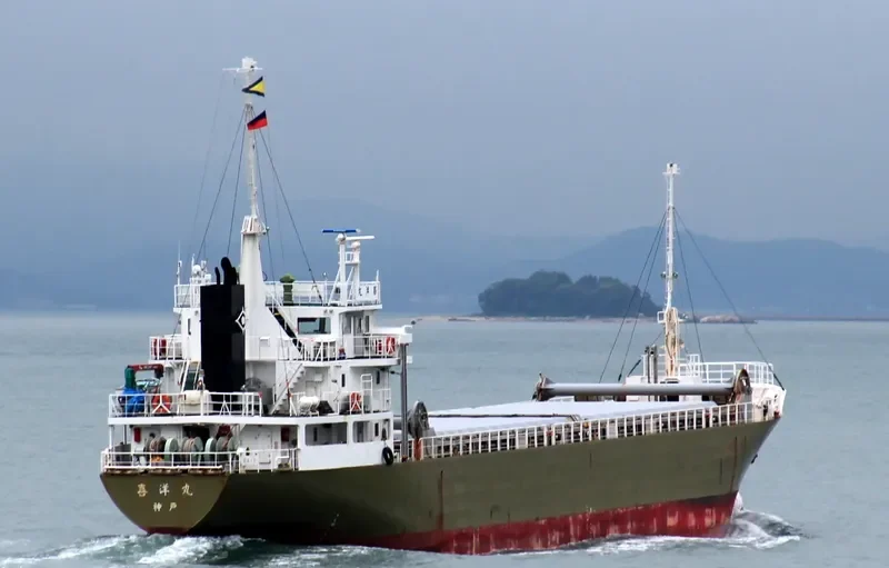 DUANE 6 General Cargo IMO 9109562 photo 2