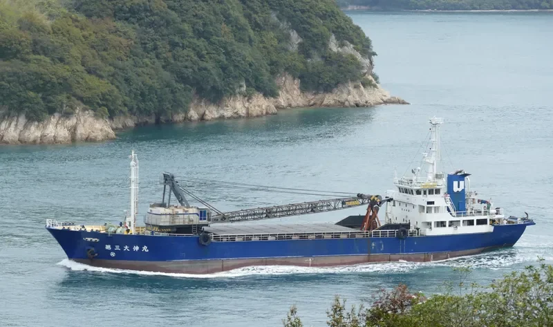 DAISHIN MARU NO.3 General Cargo IMO 9109641 photo 6