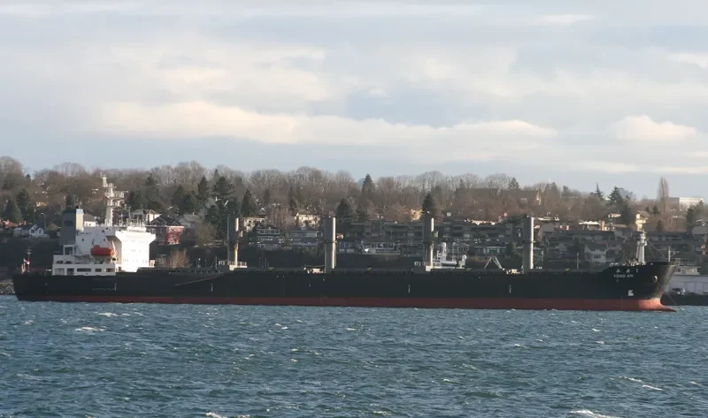 YONG AN 1 Bulk Carrier IMO 9109706 photo 2