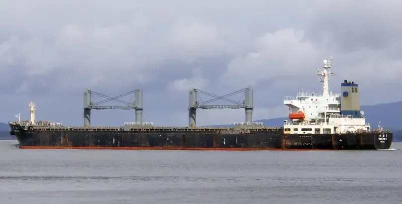 YONG AN 1 Bulk Carrier IMO 9109706 photo 7