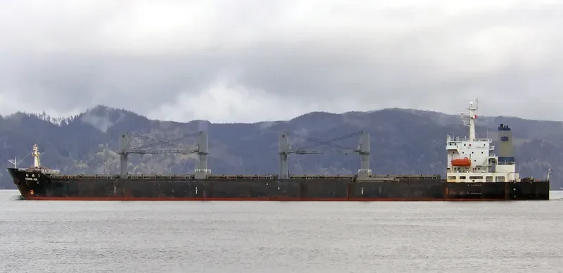 YONG AN 1 Bulk Carrier IMO 9109706 photo 8