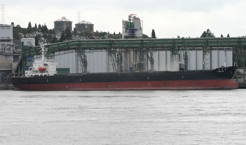 YONG AN 3 Bulk Carrier IMO 9109720 photo 2