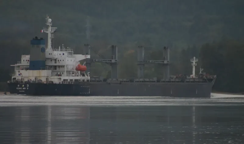 YONG AN 3 Bulk Carrier IMO 9109720 photo 3