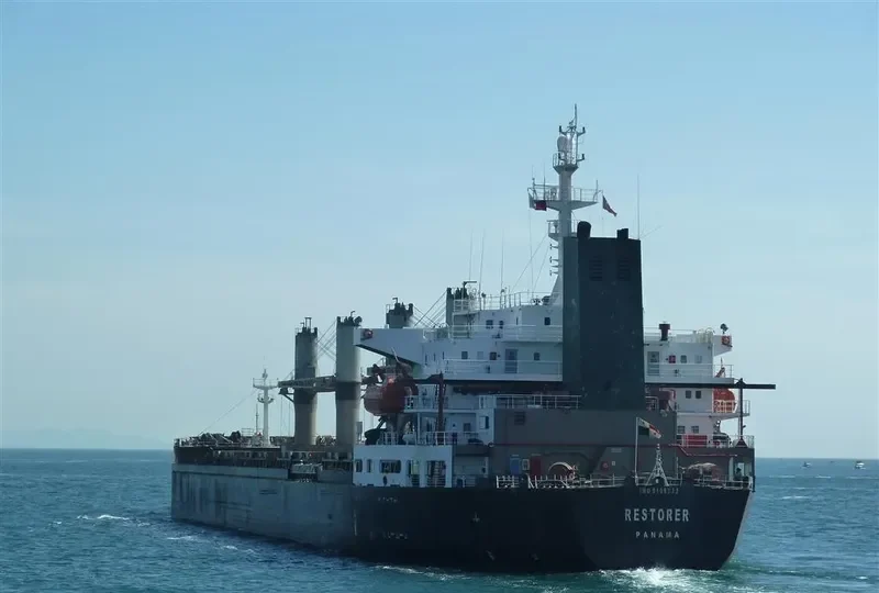RESTORER Bulk Carrier IMO 9109732 photo 4