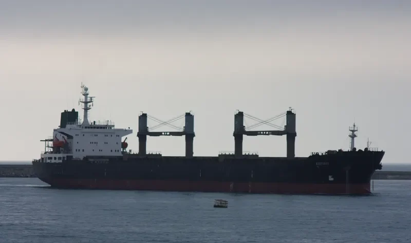 RESTORER Bulk Carrier IMO 9109732 photo 6