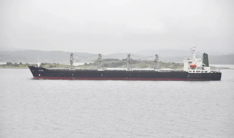 RESTORER Bulk Carrier IMO 9109732 photo 8