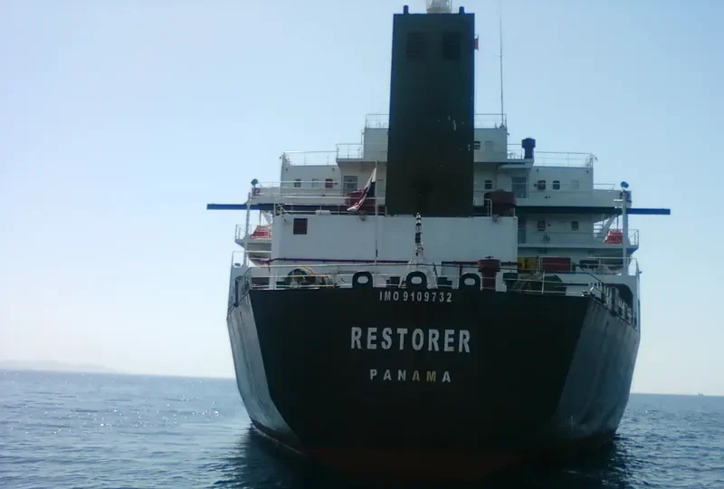 RESTORER Bulk Carrier IMO 9109732 photo 9