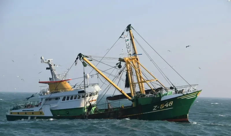 FLAMINGO General Cargo IMO 9109794 photo 2