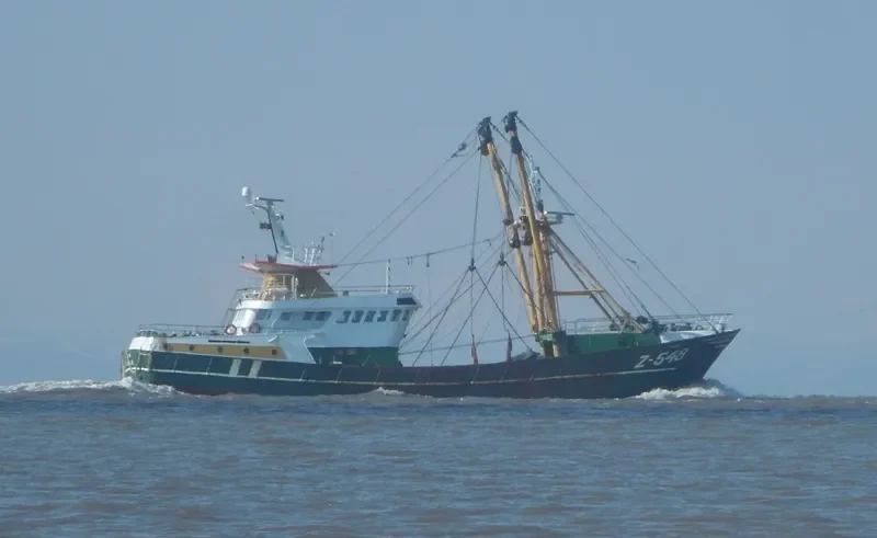 FLAMINGO General Cargo IMO 9109794 photo 6
