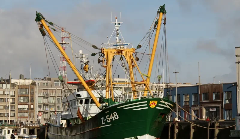FLAMINGO General Cargo IMO 9109794 photo 7