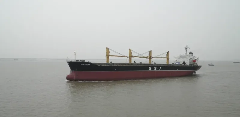 ALBY MELODY Bulk Carrier IMO 9109902 photo 3