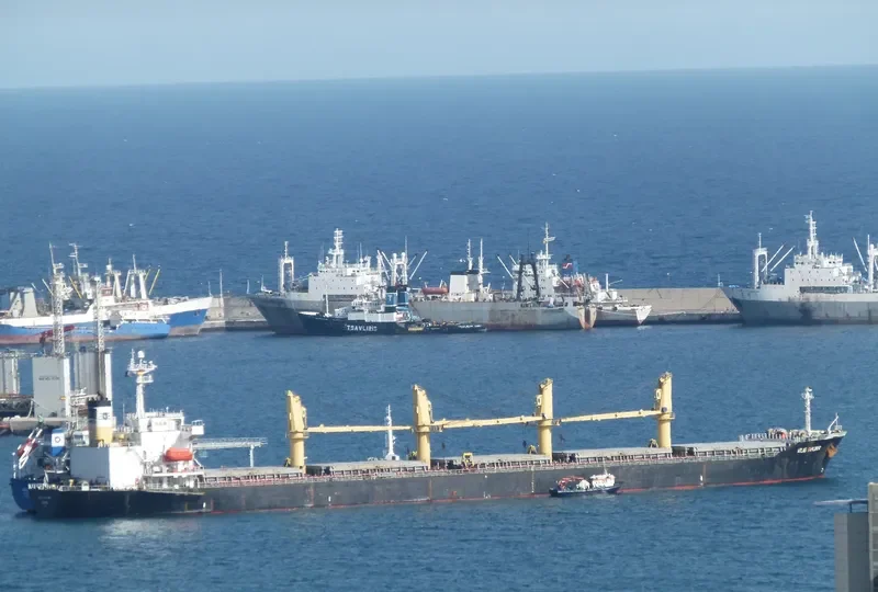 ALBY MELODY Bulk Carrier IMO 9109902 photo 7