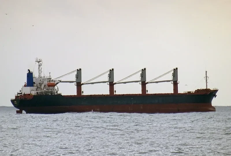 GOZO Bulk Carrier IMO 9109964 photo 2