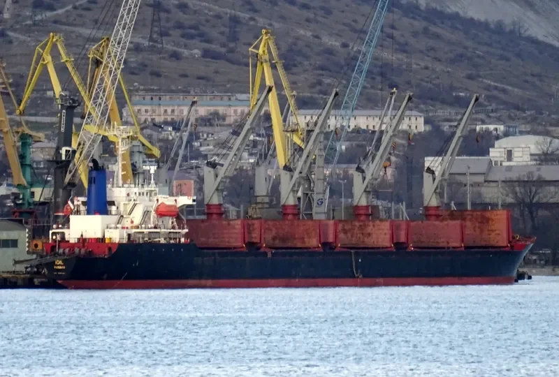 GOZO Bulk Carrier IMO 9109964 photo 4