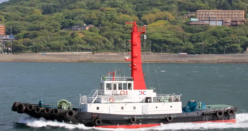 SEKIHO MARU General Cargo IMO 9110171 photo 8