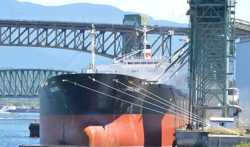 CONSUL POPPE Bulk Carrier IMO 9110212 photo 4