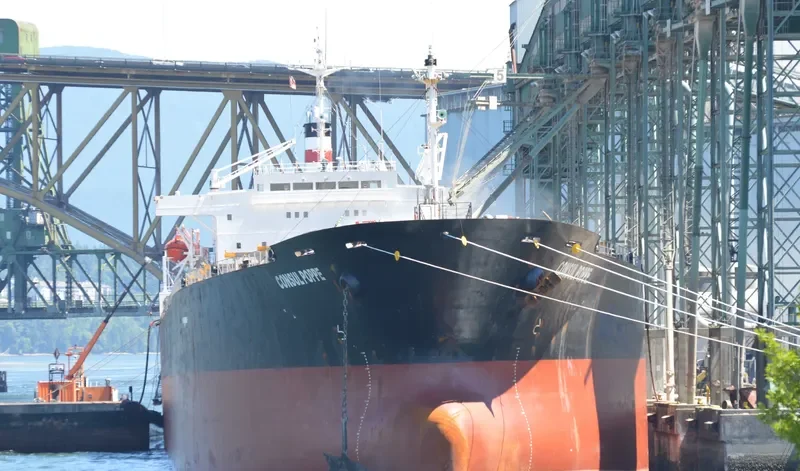 CONSUL POPPE Bulk Carrier IMO 9110212 photo 5
