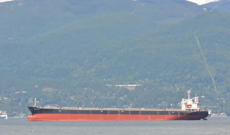 CONSUL POPPE Bulk Carrier IMO 9110212 photo 6
