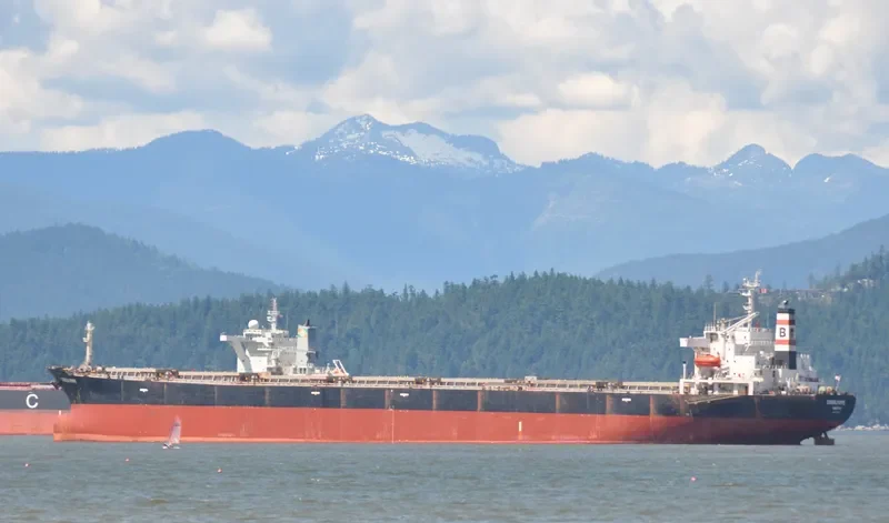 CONSUL POPPE Bulk Carrier IMO 9110212 photo 7