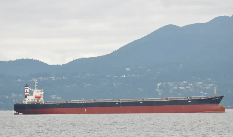 CONSUL POPPE Bulk Carrier IMO 9110212 photo 8
