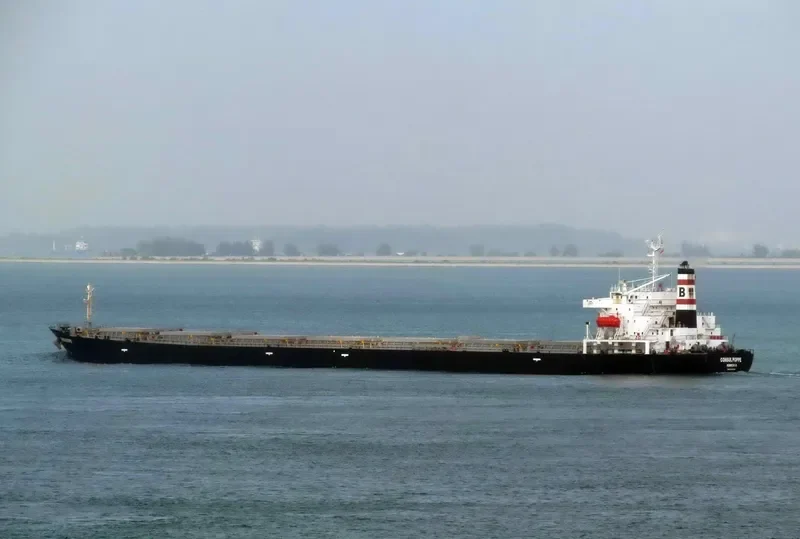 CONSUL POPPE Bulk Carrier IMO 9110212 photo 9