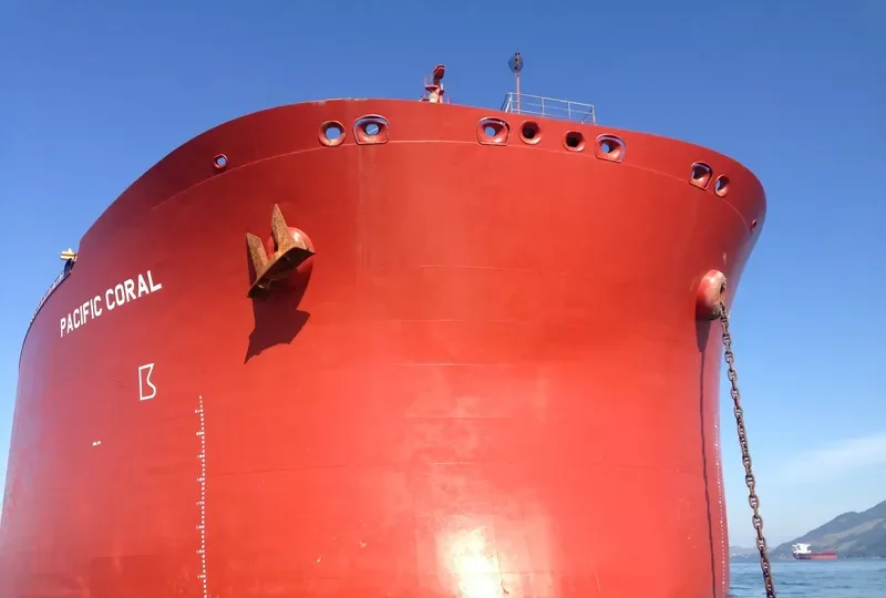 PACIFIC CORAL Bulk Carrier IMO 9110224 photo 3