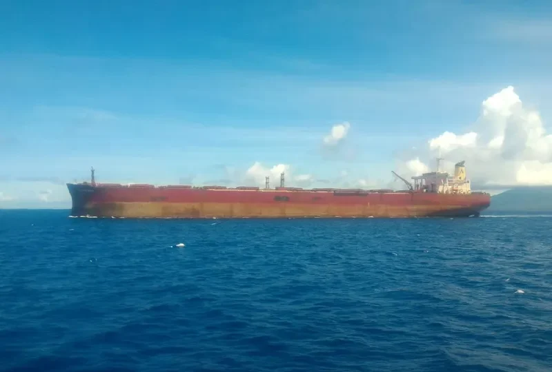 PACIFIC CORAL Bulk Carrier IMO 9110224 photo 8