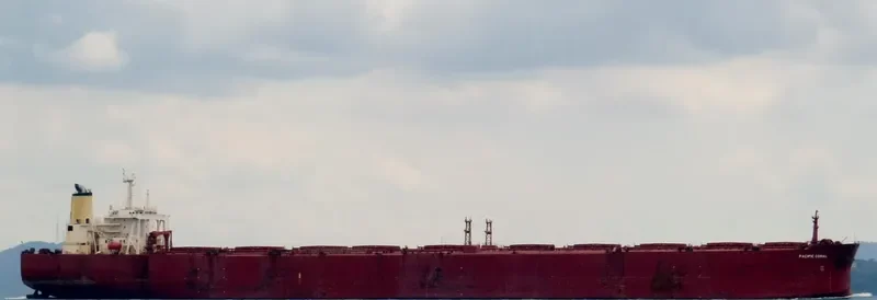 PACIFIC CORAL Bulk Carrier IMO 9110224 photo 9