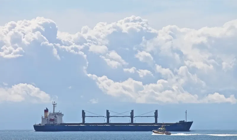 QIN HAI Bulk Carrier IMO 9110274 photo 4