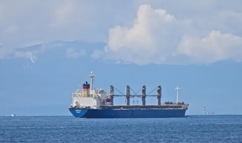 QIN HAI Bulk Carrier IMO 9110274 photo 6