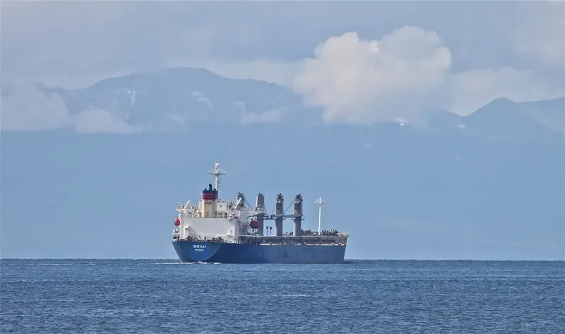 QIN HAI Bulk Carrier IMO 9110274 photo 7