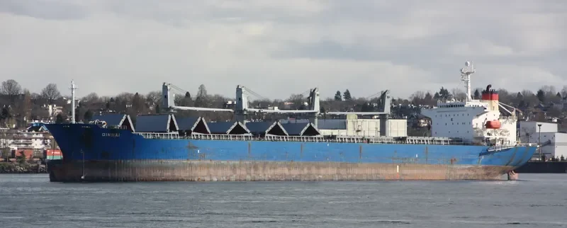 QIN HAI Bulk Carrier IMO 9110274 photo 8