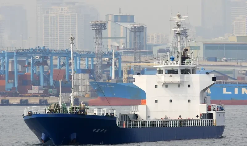 DAEHO INCHEON General Cargo IMO 9110303 photo 2